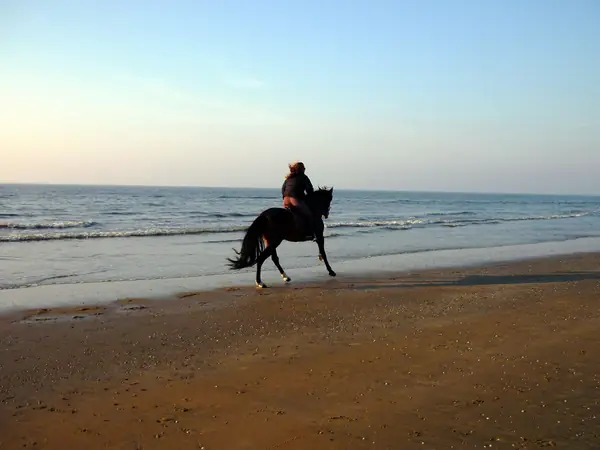 Horse Riding Tour