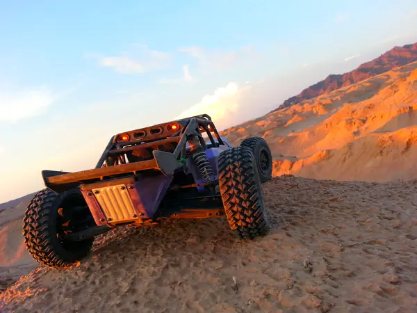Buggy Safari