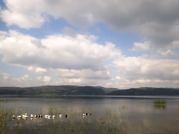 Sapanca Lake & Maşukiye